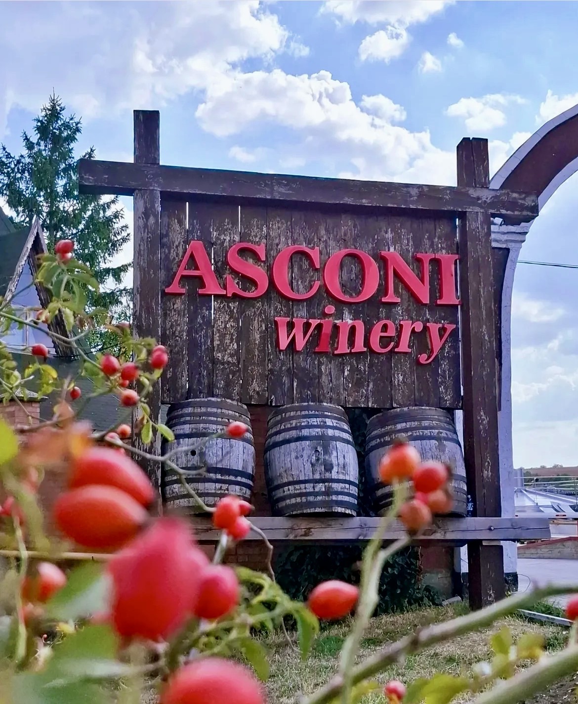 Asconi