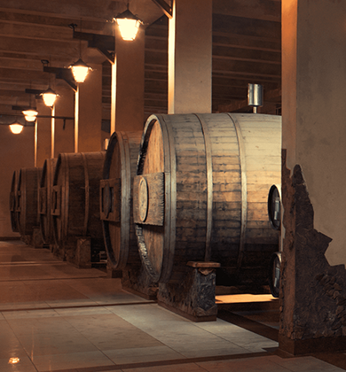 🏰 Chateau Cojusna