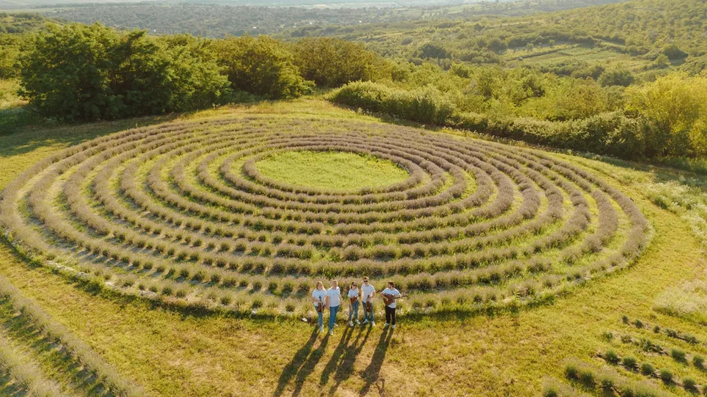 🚜 Eco-ferma Hill&Valley