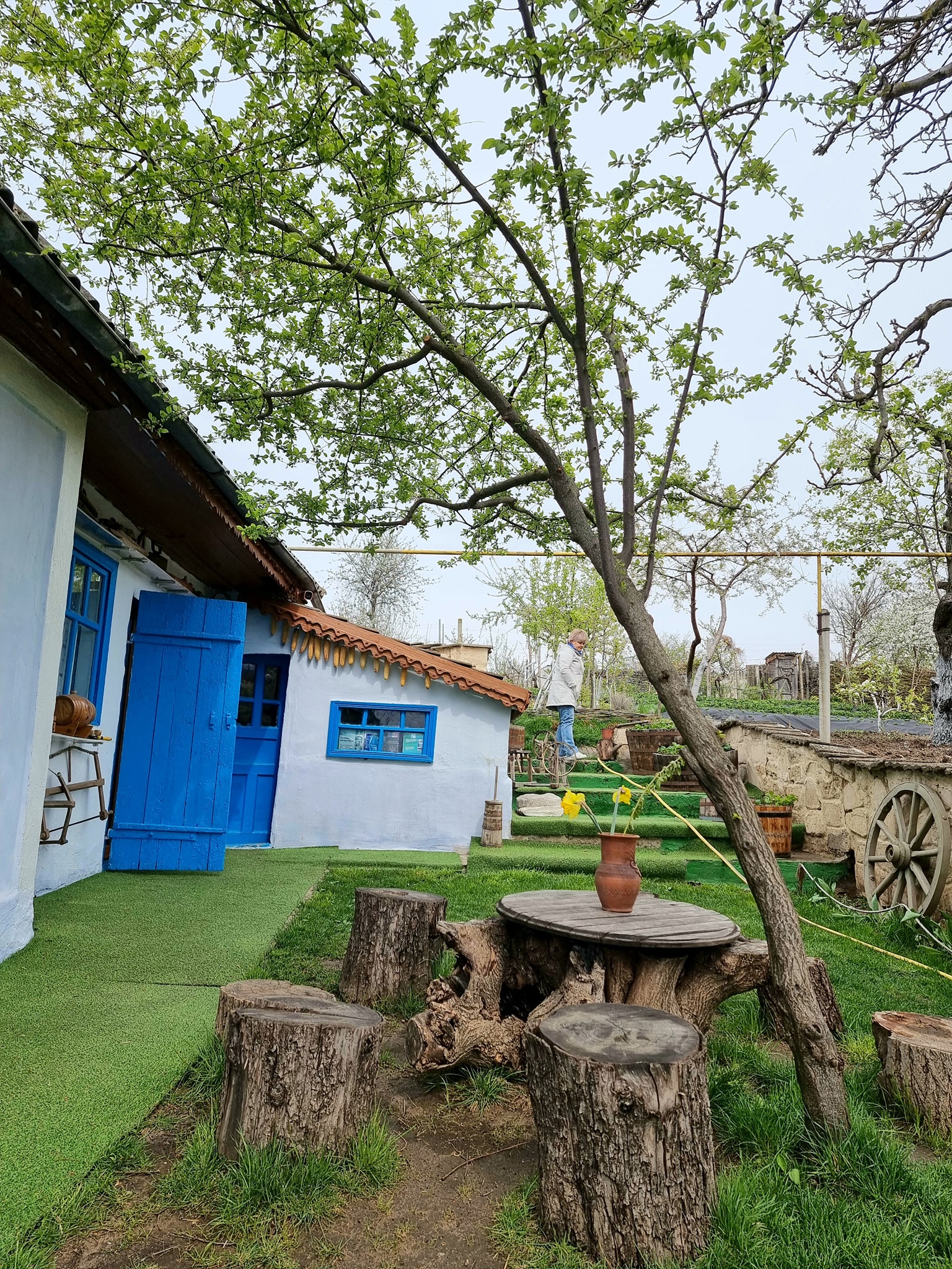🏡 Muzeul Țăranului